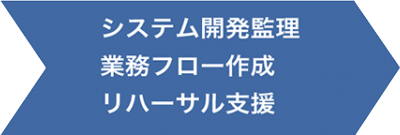 システム開発管理 業務フロー作成 リハーサル支援